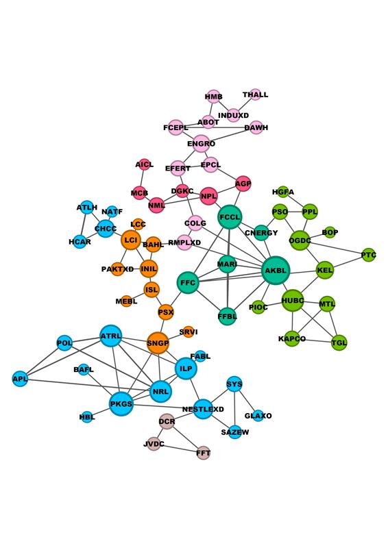 Company Interlocking Network
